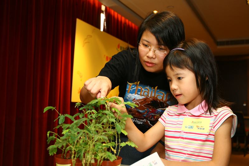 NWS Holdings announced a study on the knowledge and experience with nature of young children